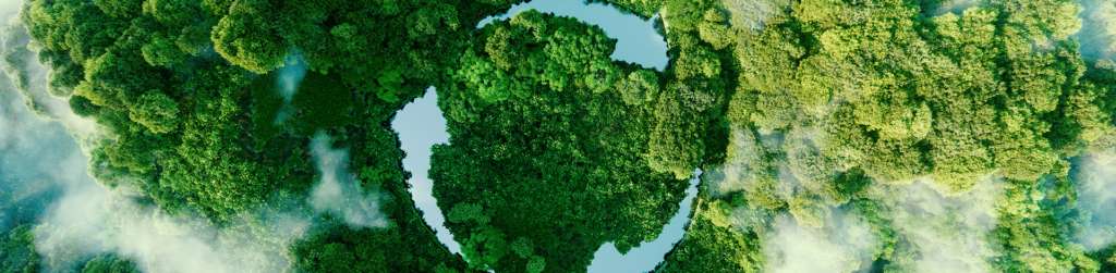 Lorem ipsum dolor sit amet, consectetur 05